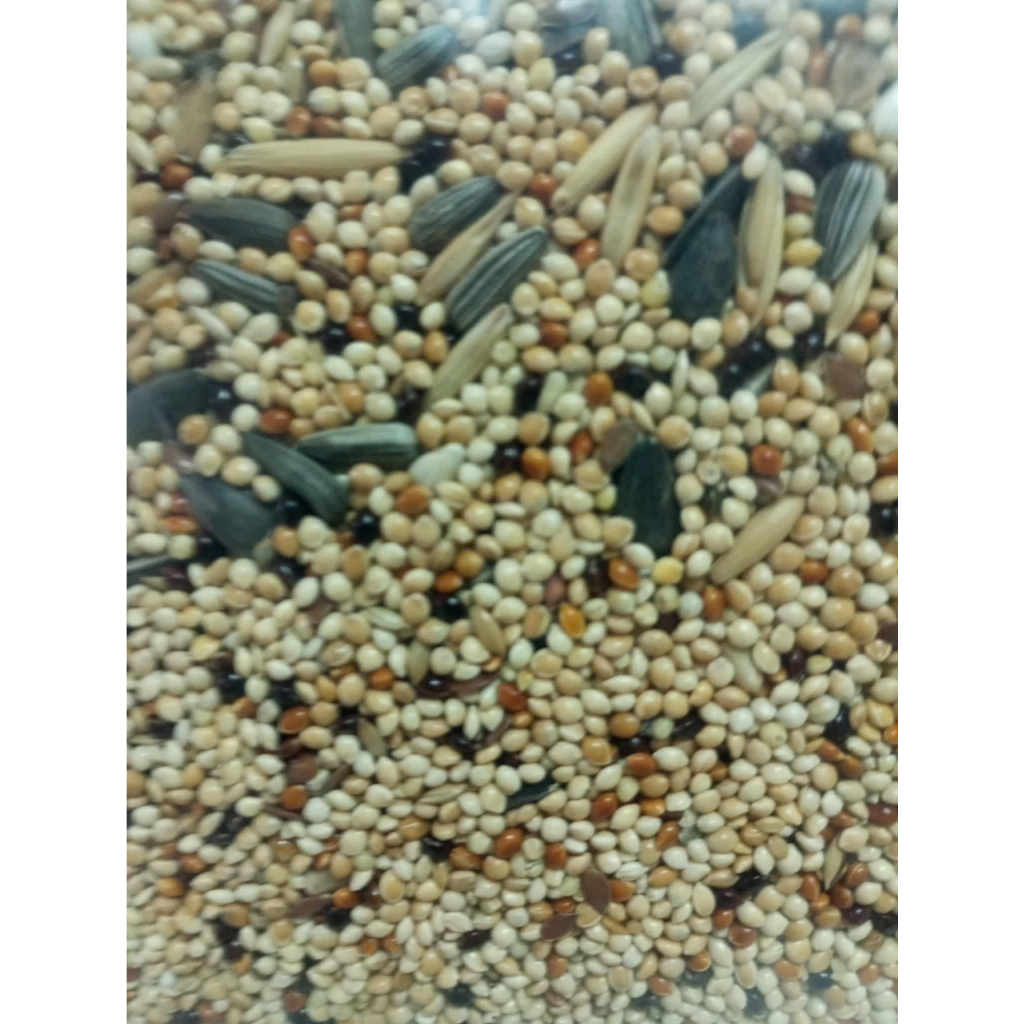 เหมือนกัน แต่ถูกกว่า 13 อย่าง(ในประเทศ) เกรดC อาหารนก เมล็ดธัญพืชนก พาราคีท 1 ก.ก. เพียง 53 บาท นกแก