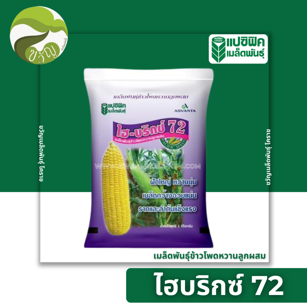 เมล็ดพันธุ์ ข้าวโพดหวาน ลูกผสม ไฮบริกซ์ 72 ตรา แปซิฟิค ลอตใหม่