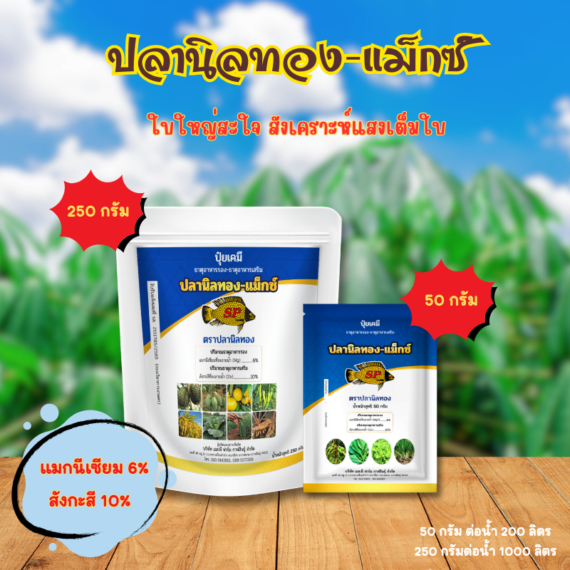 ปลานิลทอง-แม็กซ์ เร่งใบเขียว ใบหนา ใบมัน เร่งใบแก่ แตกใบใหม่เร็ว กิ่งก้านใบแข็งแรง ส่งตรงจากโรงงาน