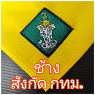 หมวกลูกเสือ และ ผ้าพันคอลูกเสือ