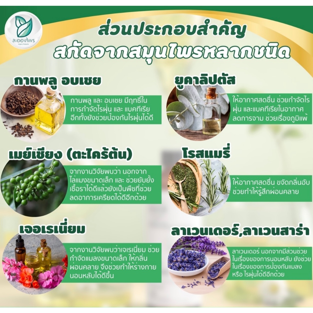 ละอองไพร สเปรย์กำจัดไรฝุ่น สูตรสมุนไพร ละอองไพร - 4