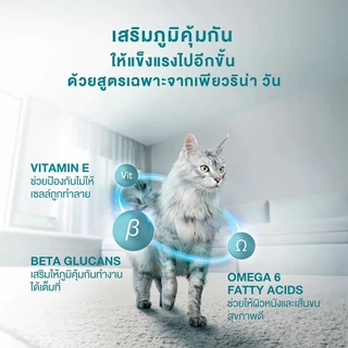 โปรแรง จำกัด 100 ถุง ! PURINA ONE อาหารเม็ดแมวสูตร HEALTHY ADULT CHICKEN ซุปเปอร์พรีเมี่ยม แมวโต รสไก่ ขนาด 6.6 kg.