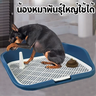 ห้องน้ำสุนัข ถาดรองฉี่สุนัข ถาดรองฉี่สัตว์เลี้ยง ถาดฉี่หมามีเสา ห้องน้ำหมาขอบสี่เหลี่ยม ถาดรองฉี่พร้อมเสา