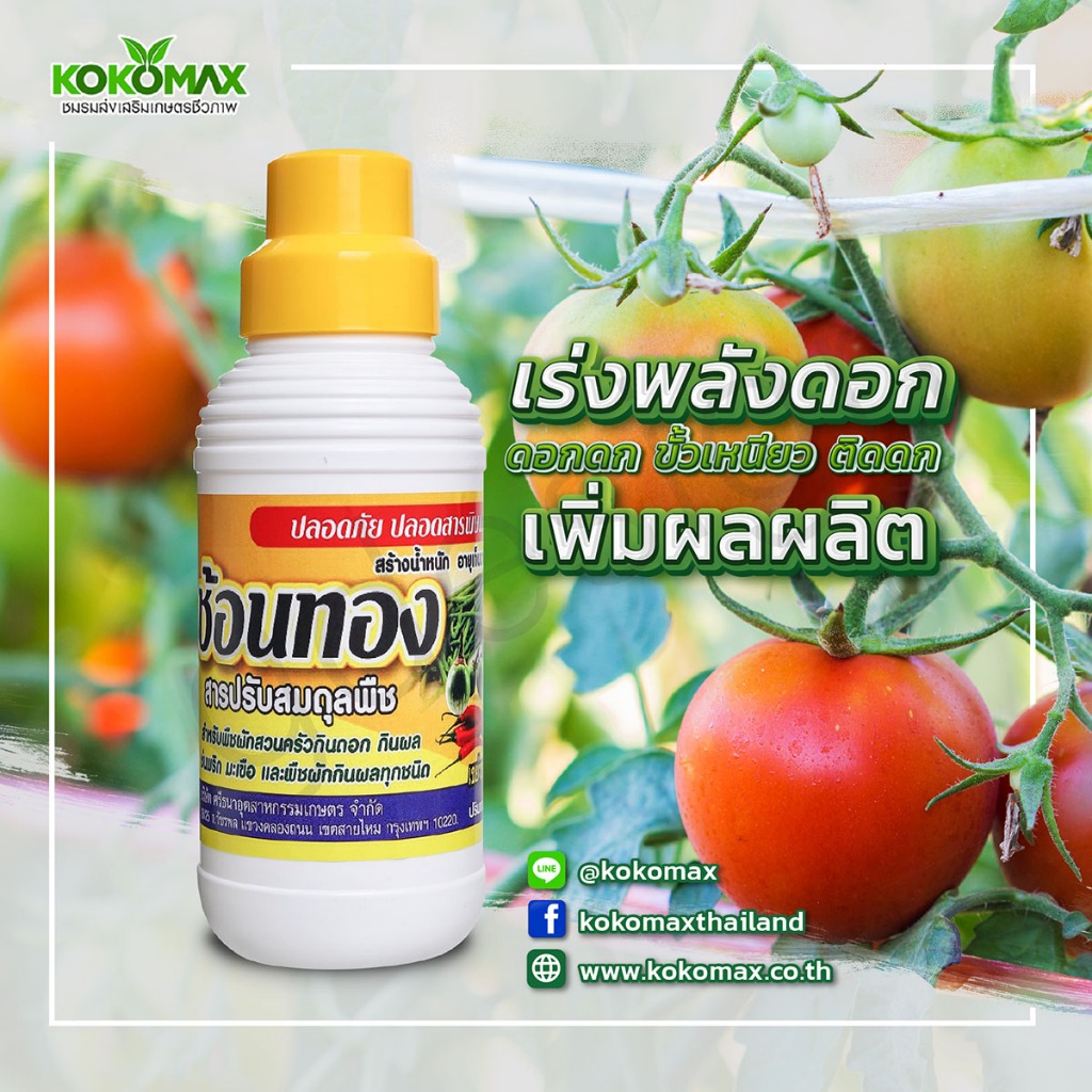 ปุ๋ยเร่งดอก ขั้วเหนียว ติดดก เพิ่มผลผลิต ช้อนทอง 1 ลิตร โปรโมชั่น ซื้อ 5 แถม 1