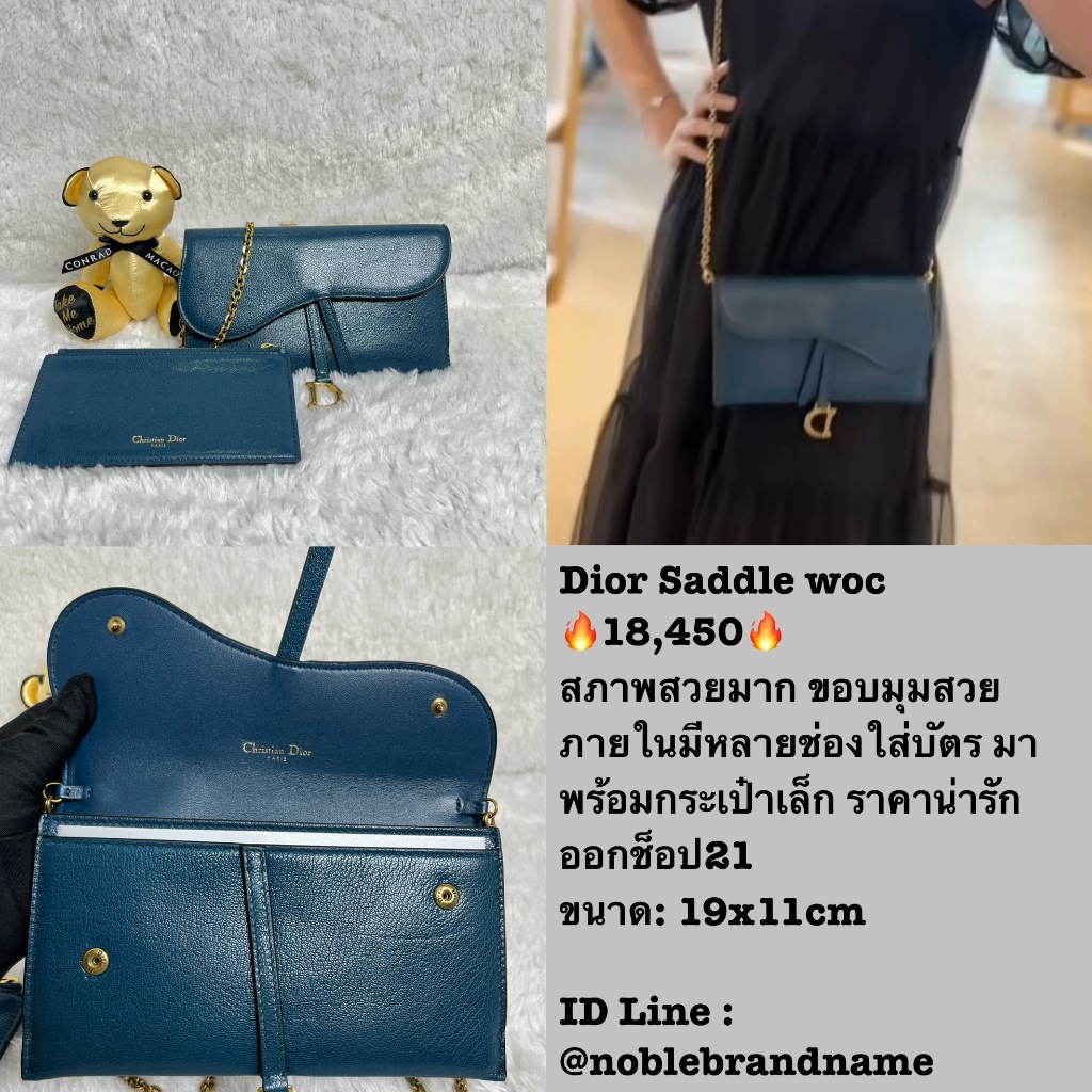 กระเป๋า Saddle WOC Crossbody