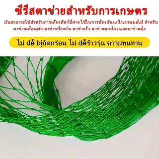 🥇แถมฟรี! ตาข่ายล้อมไก่ ตาข่ายพลาสติก ตาข่ายไนล่อน สูง 2 อวนล้อมไก่ ตาข่ายล้อมไก่ยาว100เมตร ตาข่ายกันนก ตาข่ายเข