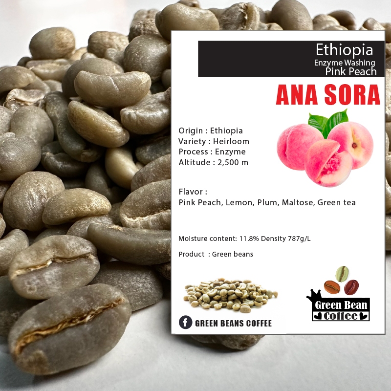 สารเมล็ดกาแฟดิบ ETHIOPIA ANA SORA PINK PEACH " Enzyme Washing " Green bean ขนาด 1,000 กรัม