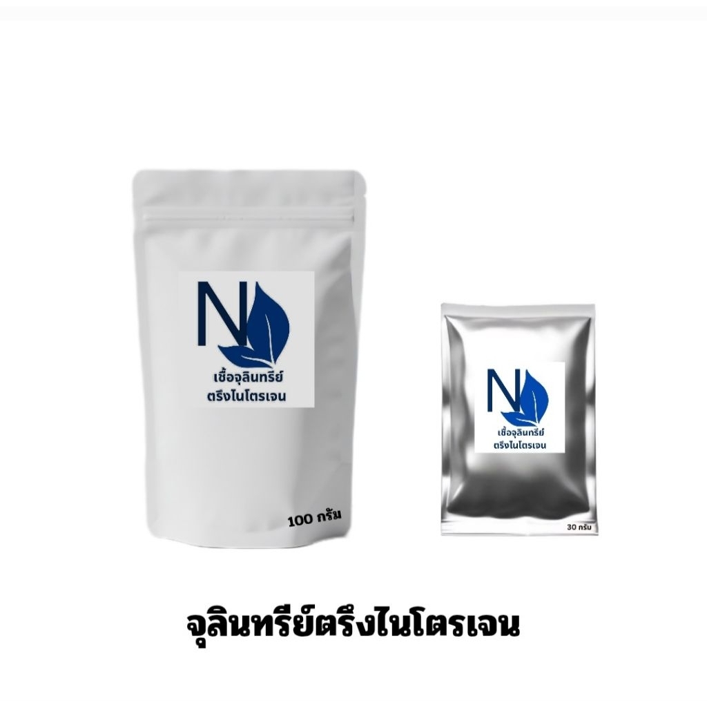 จุลินทรีย์ตรึงไนโตรเจนNitrogenfixสำหรับใช้ลดปริมาณการใช้ปุ๋ยเคมีเหมาะสำหรับเกษตรผสมผสานและอินทรีย์ล้วน