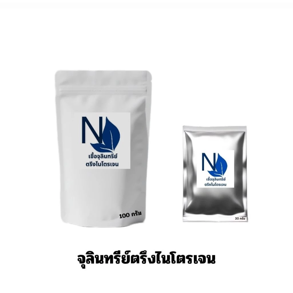 จุลินทรีย์ตรึงไนโตรเจนอิสระNitrogenfixสำหรับใช้ลดปริมาณการใช้ปุ๋ยเคมีเหมาะสำหรับเกษตรผสมผสานและอินทรีย์ล้วน