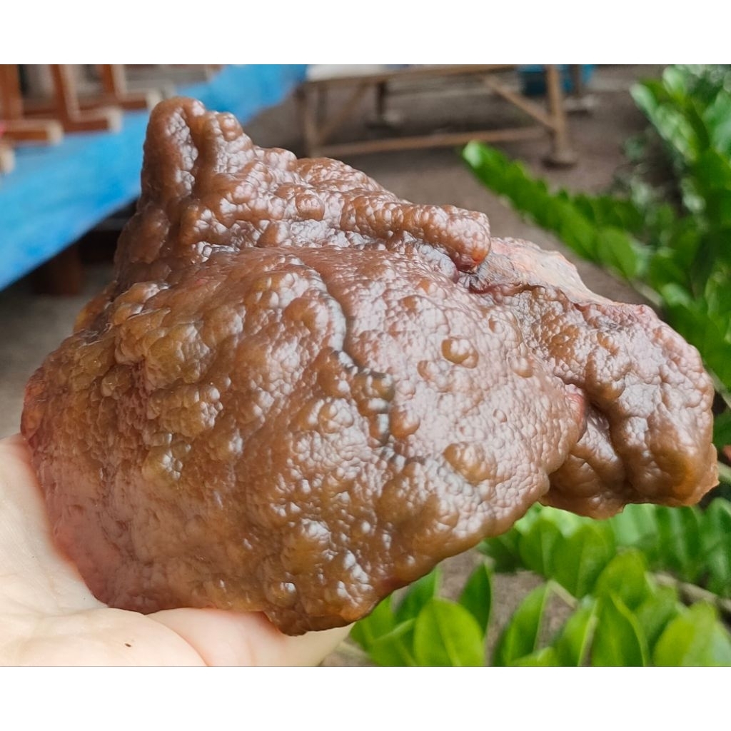 หินโมกุล หินโมกุล(หรือแร่เหล็กไหลเพลิง) พระธาตุหินโมกุล  พระธาตุเกศแก้วโมกุล ทรงธรรมชาติ mogul stone