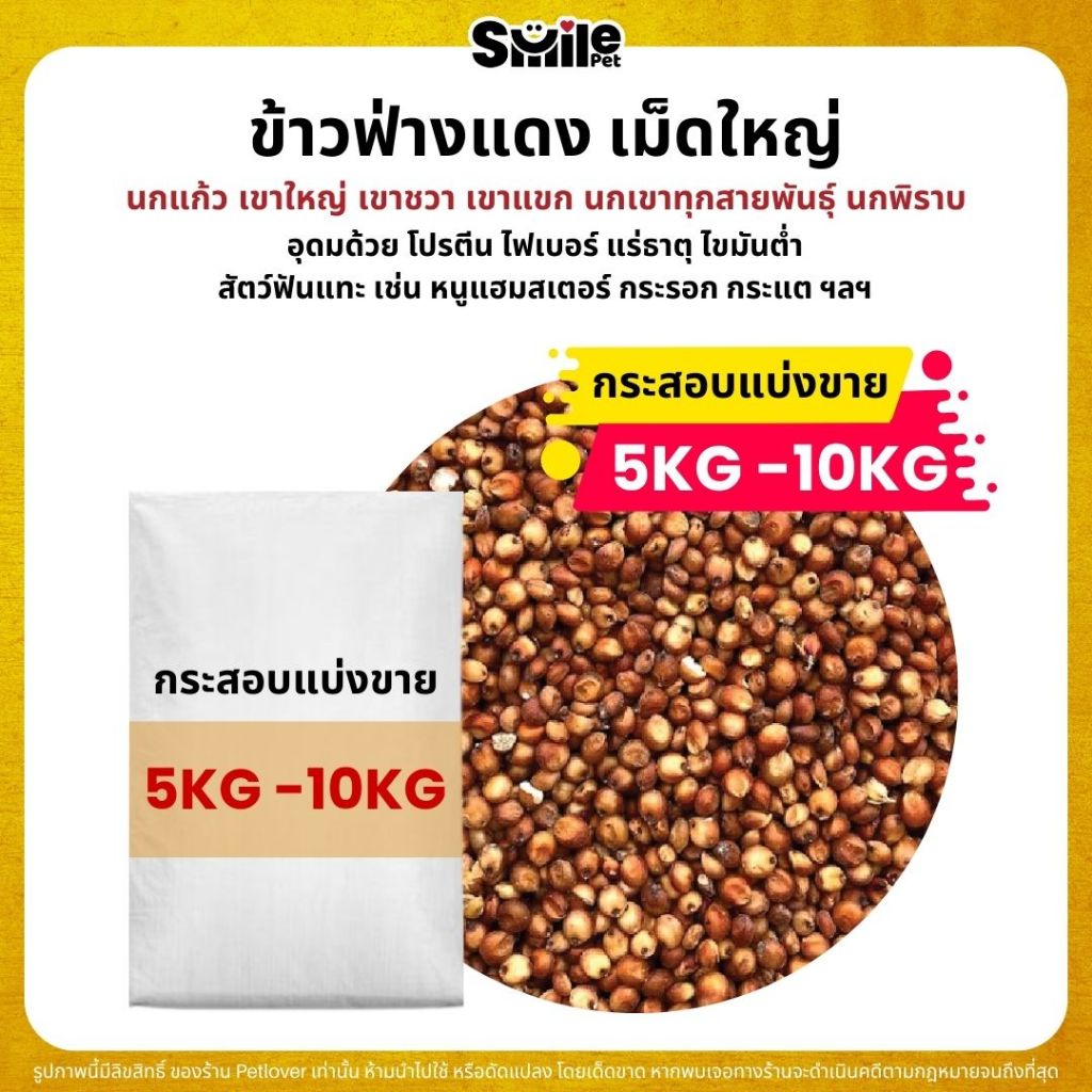 (5KG/10KG) ข้าวฟ่างแดง อาหารนกแก้ว หนูแฮมสเตอร์ นกเขา เขาใหญ่ เขาชวา นกพิราบ ใหม่ สด สะอาด ร่อนฝุ่น