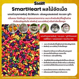 (5KG/10KG) SmartHeart ผลไม้อัดเม็ด อาหารนกแก้ว และสัตว์ฟันแทะทุกชนิด