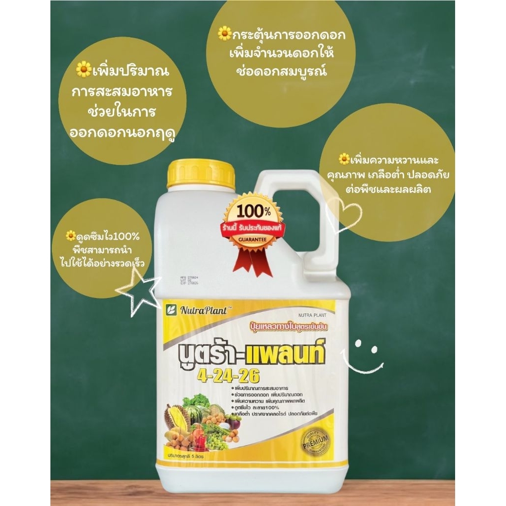 นูตร้าแพลนท์ สูตร 4-24-26 ขนาด 5 ลิตร สะสมอาหารก่อนออกดอก บำรุงดอกและผลอ่อน ลดการหลุดร่วงของดอก **จั