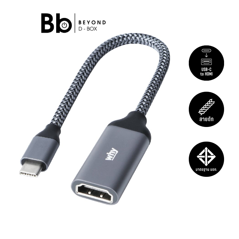 WHY USB-C to HDMI Female Video 4K Full UHD Grey (HB-1045) by BB Beyond D-Box