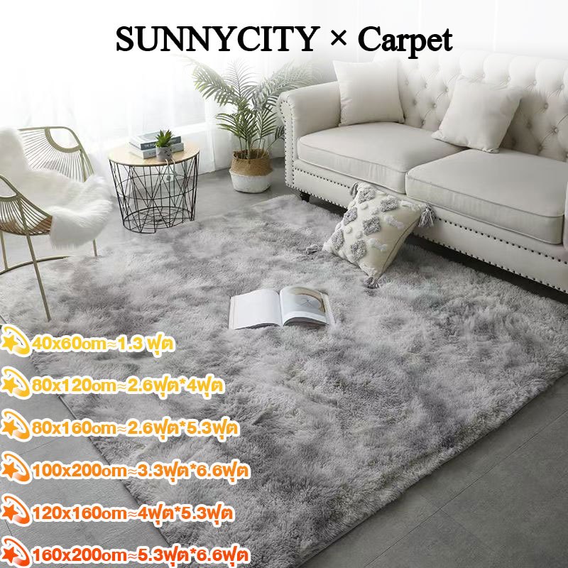 160x120cm พรม พรมห้องนั่งเล่น พรมห้องนอน พมปูพื้นห้อง ผ้าปูพื้นพรมก พรหมปูพื้น ขนนิ่ม มีหลายขนาด ตกแต่งสวย COD