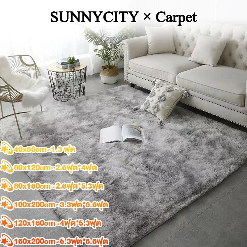 160x120cm พรม พรมห้องนั่งเล่น พรมห้องนอน พมปูพื้นห้อง ผ้าปูพื้นพรมก พรหมปูพื้น ขนนิ่ม มีหลายขนาด ตกแต่งสวย COD