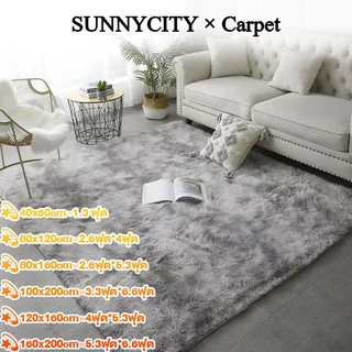 160x120cm พรม พรมห้องนั่งเล่น พรมห้องนอน พมปูพื้นห้อง ผ้าปูพื้นพรมก พรหมปูพื้น ขนนิ่ม มีหลายขนาด ตกแต่งสวย COD