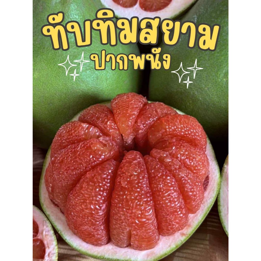 (โปรลดจำกัด!) ทับทิมสยาม ปากพนัง หวานๆ ฉ่ำๆ มีหลายขนาดให้เลือก✔✔