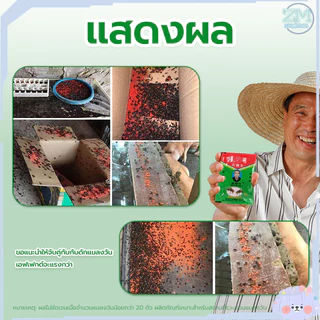 [ซื้อ 2ชิ้น ลด 20บาท] 24 กล่อง(600 ซอง) ดักแมลงวัน ผงไข่เน่า เหยื่อกำจัดแมลงวัน ฆ่าแมลงวันขั้นเทพ ตราไก่ ไล่แมลงวันออกไป
