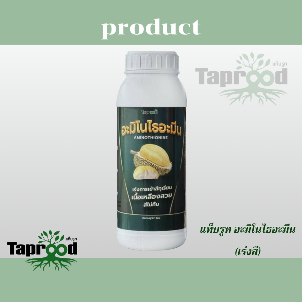 แท็บรูท อะมิโนไธอะมีน (เร่งสี)