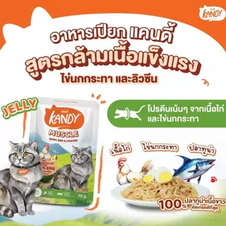 (แบบซอง) อาหารเเมว KANDY อาหารแมวชนิดเปียก ขนาดซองละ 70g. มีให้เลือก 10 สูตร
