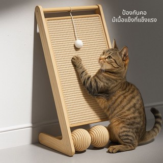 Harmcat ที่ฝนเล็บ ลับเล็บแมว ไม่มีเศษฝุ่นกระจาย ฝนเล็บแมว แผ…