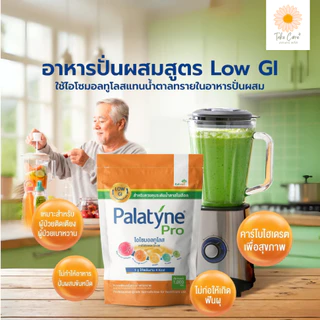 Palatyne พาลาทีน ไอโซมอลทูโลส คาร์โบไฮเดรตสุขภาพ ดัชนีน้ำตาลต่ำ อาหารผู้ป่วยเบาหวาน อาหารปั่นผู้ป่วย