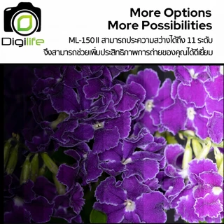 Godox Flash ML-150 II Manual - Macro Ring Flash ( ML150 II ) / Digilife Thailand