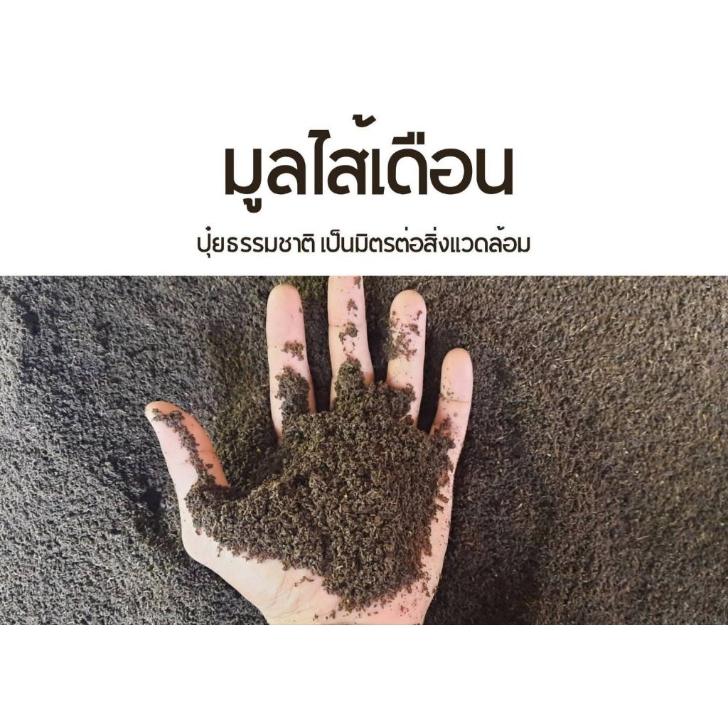 ดินมูลไส้เดือน1โลราคาถูกเน้นมูลไส้เดือนเยอะมาก