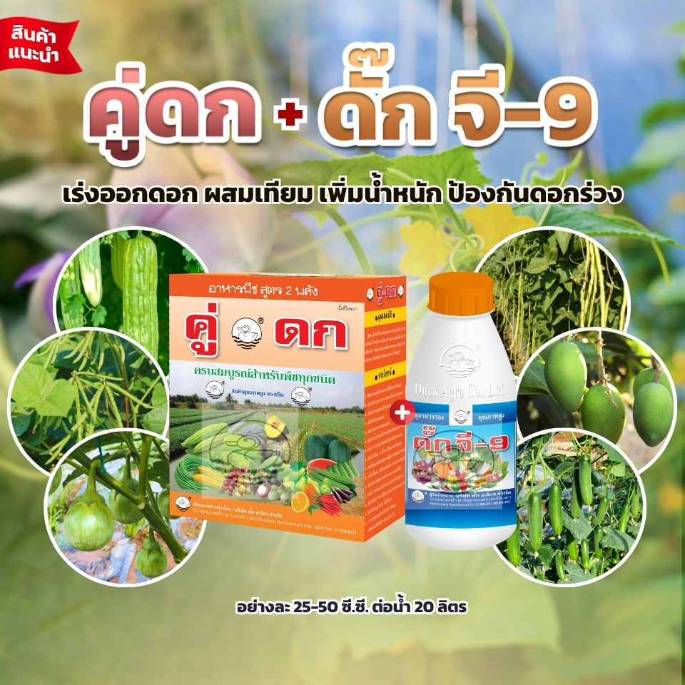ชุดขายดี ปุ๋ยน้ำ คู่ดก+ดั๊กจี-9 ตราเป็ด เร่งออกดอก ผสมเทียม เพิ่มน้ำหนัก ติดผลดี ป้องกันดอกร่วง