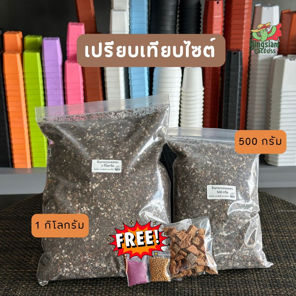 ดินกระบองเพชร 500 กรัม ฟรีของแถม 3 อย่าง!! ดินแคคตัส ดินcactus - รูปที่ 4