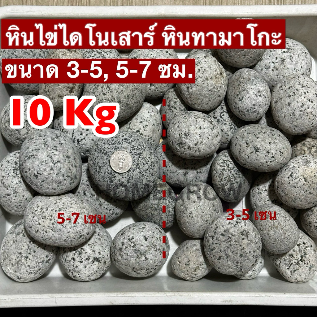 หินไข่ไดโนเสาร์ ถุง 10 กิโล หินทามาโกะ พร้อมส่ง ส่งในไทย