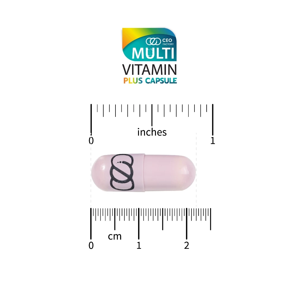 Multivitamin plus capsule มัลติวิตามินพลัส แคปซูล  40 แคปซูล วิตามิน 13 ชนิด และ amino acid 2 ชนิด thumbnail 6