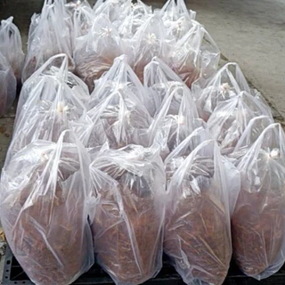 หมูฝอยกรอบนอกนุ่มใน 5กิโล ยกถุง เกรดA