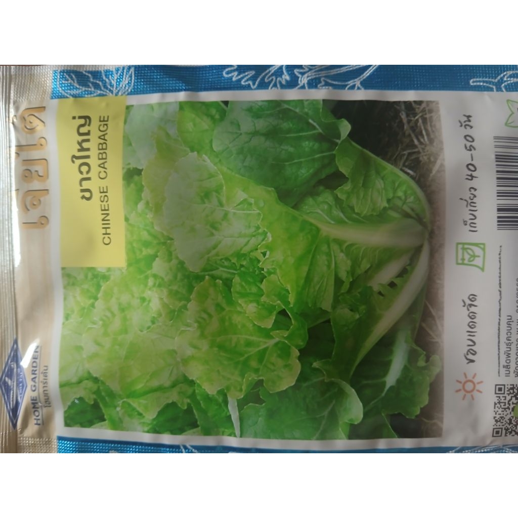 เมล็ดพันธุ์ ผักกาดขาวใหญ่ (หรือ Chinese Cabbage) ตรา เจียไต๋ - รูปที่ 6