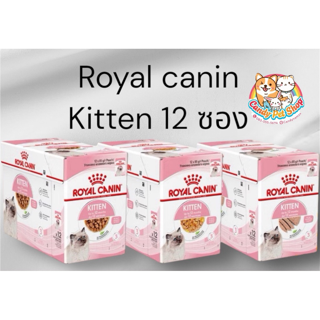 Royal canin เพาซ์ KlTTEN ❤️ อาหารเปียก 12 ซอง