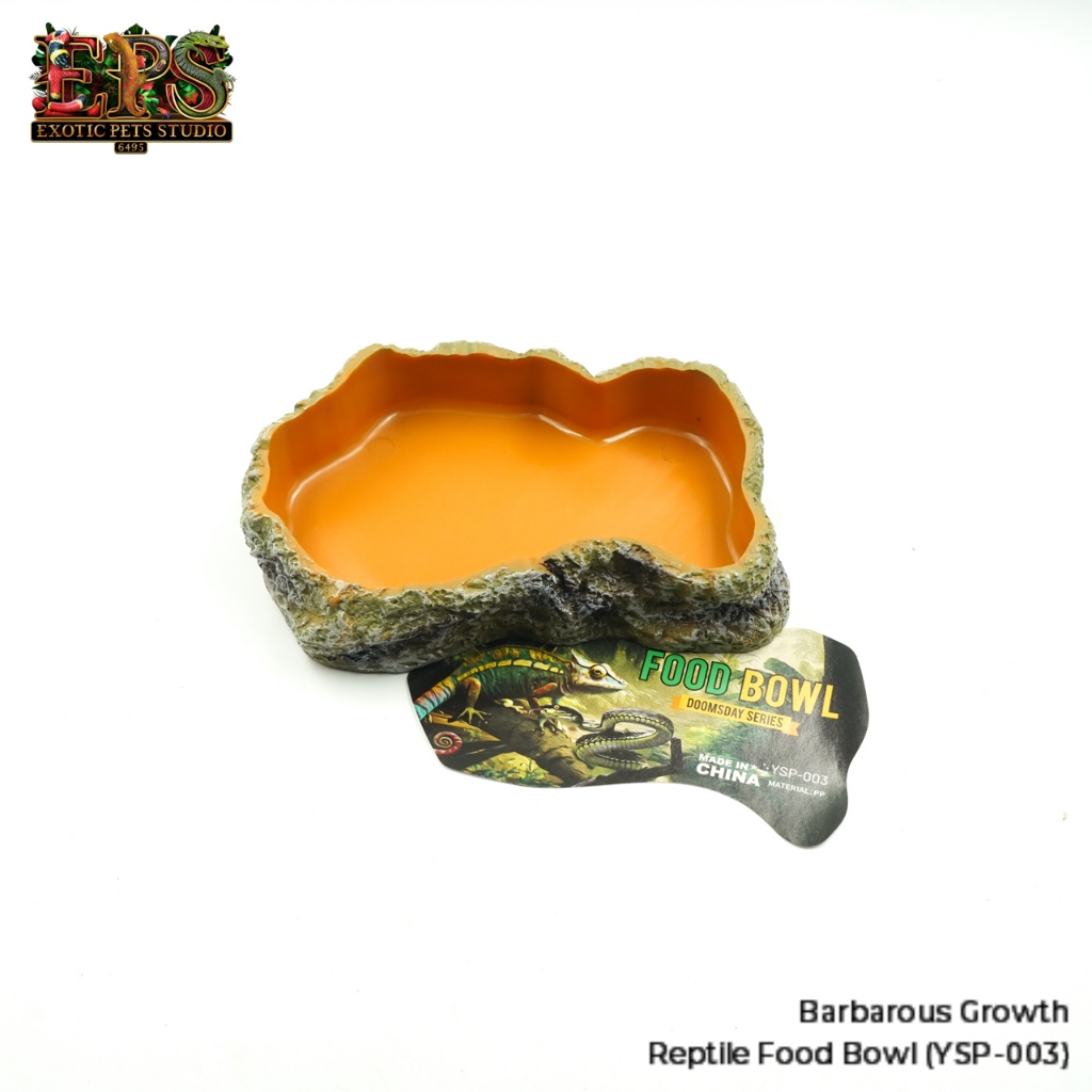Reptile Food Bowl จานอาหารสัตว์เลื้อยคลาน แบบหินเทียม วัสดุเรซิ่น แข็งแรง ทนทาน ปลอดภัย ทำความสะอาดง่าย