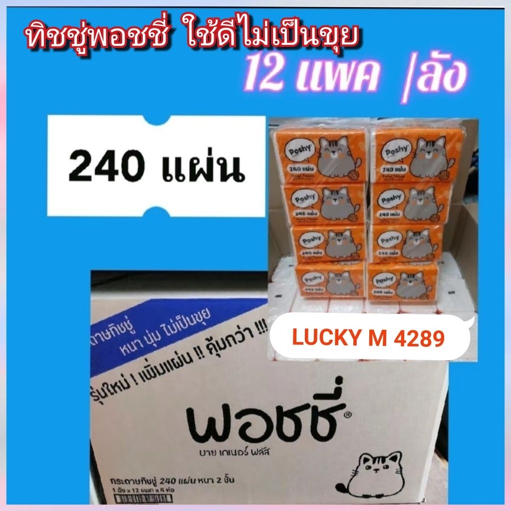 ทิชชู่พอชชี่  กระดาษทิชชู่240 แผ่น มี 48 ห่อ  ราคา ยกลัง Lucky M 4289