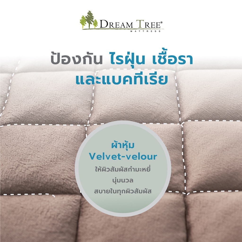 Dream Tree ที่นอนรุ่