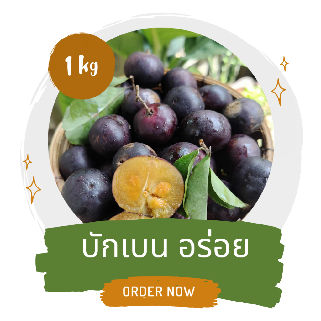 ตะขบยักษ์ บักเบน หมากเบน มะเกว๋นนก มะเกว๋นป่า ตะขบป่า ตะขบยักษ์ เบนโคก ตานเสี้ยน ผลไม้สด 1 กก.