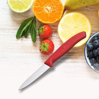 Victorinox Swiss Classic Paring Knife (6.760X) Straight Edge and Pointed Tip | มีดครัว มีดปอก
