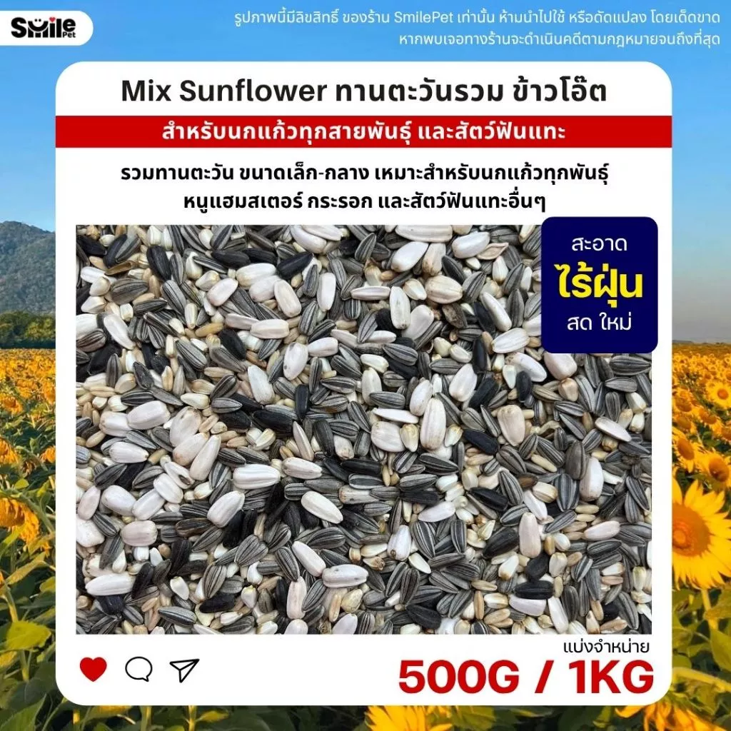ทานตะวันรวม ข้าวโอ๊ต เมล็ดดอกคำฝอย อาหารนกแก้วทุกสายพันธุ์ และสัตว์ฟันแทะ (แบ่งขาย 500G / 1KG)