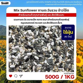 ทานตะวันรวม ข้าวโอ๊ต เมล็ดดอกคำฝอย อาหารนกแก้วทุกสายพันธุ์ และสัตว์ฟันแทะ (แบ่งขาย 500G / 1KG)