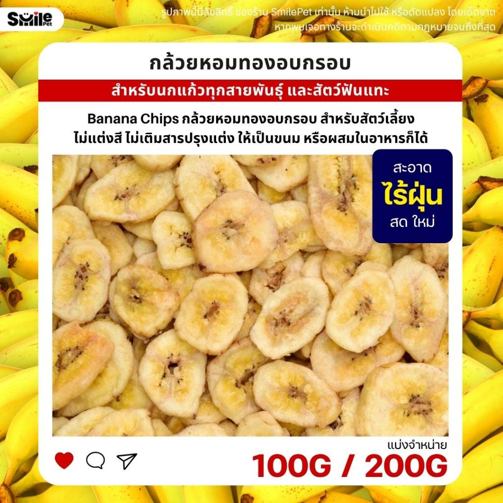 กล้วยหอมทองอบกรอบ Banana Chips สำหรับนกแก้วทุกสายพันธุ์ และสัตว์ฟันแทะ (แบ่งขาย 50G / 100G / 200G)