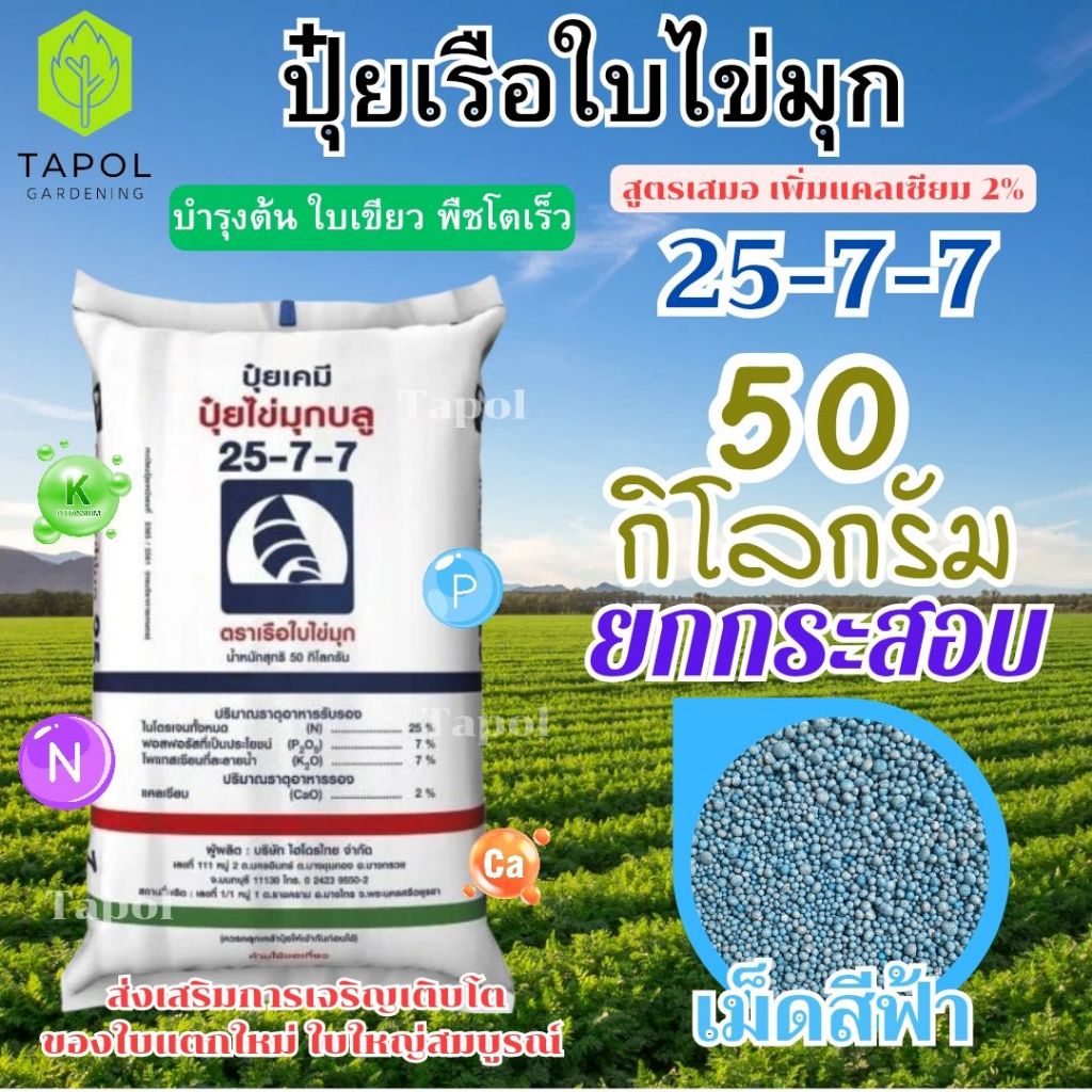 ปุ๋ยตราเรือใบไข่มุก 25-7-7 ยกกระสอบ 50 กิโลกรัม เจริญเติบโตทางด้านยอดอ่อน กิ่งก้าน ใบพืชเป็นหลัก