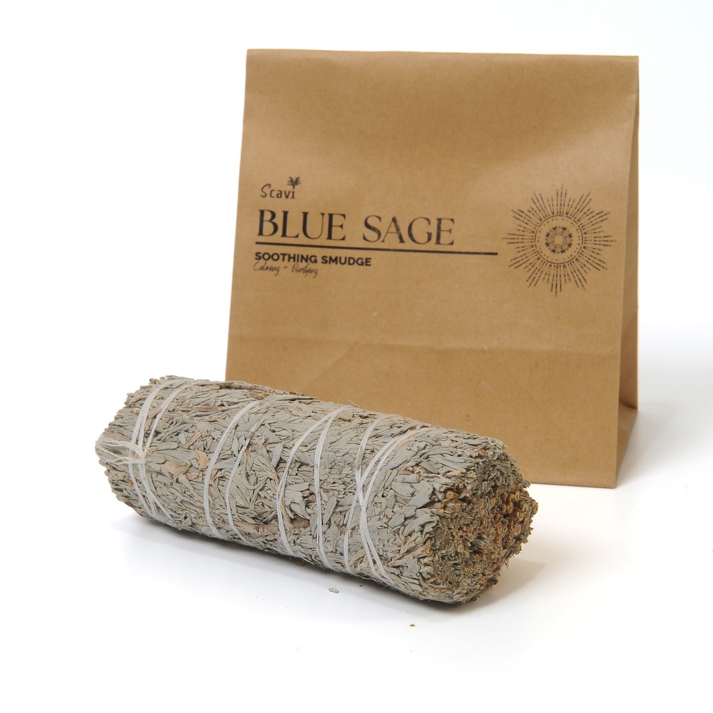 Scavi Blue Sage 4 inches บลูเสจ ราคา ถูกที่สุด ดีลบีเคเค แกลเลอรีภาพที่ 3