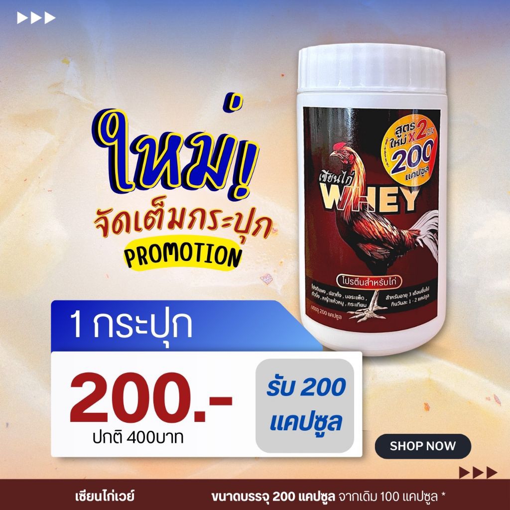 เซียนไก่เวย์โปรตีนไก่ชน บินดีไม่มีตก วิ่งอืด บำรุงไก่ชน ของแท้