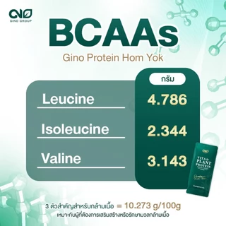 Gino Vita Plant Protein จิโนโปรตีน เสริมกล้ามเนื้อ บำรุงกระดูก กลิ่นใบเตยหอมหยก