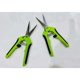 กรรไกรตัดแต่งกิ่งไม้ (ด้ามเขียว) กรรไกรสแตนเลสปลายแหลม และปล…