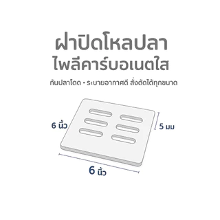 ฝาปิดโหลปลากัด | ฝาปิดตู้ปลา สั่งตัดตามใจ ฝาใสกันปลาโดด ระบายอากาศดี |โพลีคาร์บอเนตใส
